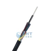Câble à Fibre Optique Souterrain Micro 12 Cœurs à Tube Flottant, Renforcé par FRP, Gaine PE/LSZH/TPU