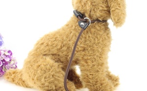 Correa de Cadena Resistente, Correa para Perros No Retráctil para Perros Pequeños/Medianos/Grandes y Border Collies, Correa de Paseo de 5 m - Product Image 1