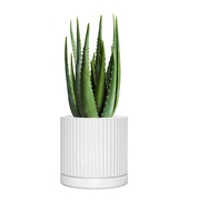 Pot de fleurs en céramique crème moucheté avec soucoupe de drainage, pot cylindrique côtelé pour plantes d'intérieur