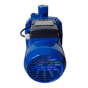 Cast Iron High Head Centrifugal <strong>Water</strong> Pump Domestic <strong>Pressure</strong> <strong>Booster</strong> - Product Image 2