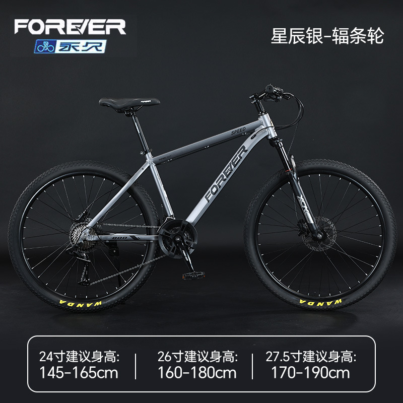 Steel frame - spoked wheels - Star Silver [27 speeds]