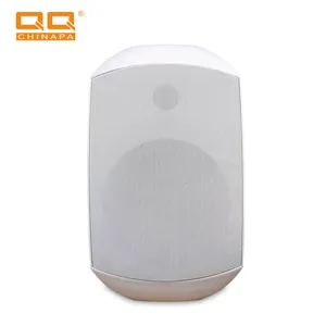 QQCHINAPA新设计高级6英寸40w壁挂式扬声器盒，适用于会议、家庭、商店