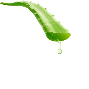Gel apaisant à l'aloe vera pour la peau, extrait pur d'herbes, soin du visage, aide à calmer les rougeurs, hydrate en profondeur et maintient un équilibre sain. - Product Image 1