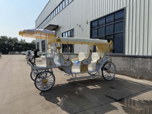 Carrito eléctrico de turismo de lujo de último diseño Buggy de boda de calabaza real blanca a la venta - Product Image 5