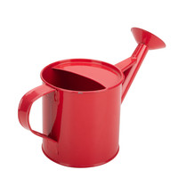 Arrosoir pour enfants Kimleyda 1L en acier galvanisé écologique, ensemble d'accessoires de jardinage