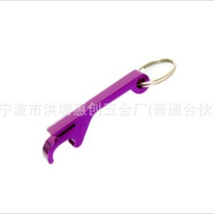 Bottle Opener Keychain Plastic Portable Manual Opener Key Shape Stainless Steel - Product Image 5