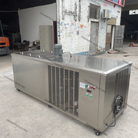 Fabricant de machines à glaçons industrielles de qualité supérieure, utilisation multi-scènes, vente en gros