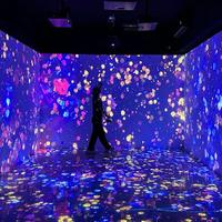 Environnement de projection interactif immersif AR personnalisé, système de jeu mural et de sol numérique pour aire de jeux intérieure