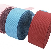 Sangle en polyester tissé haute ténacité 7/8 pouce, nylon uni, pour vêtements, textiles, sacs, accessoires XH-CC011