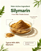 Extrait de Silybum Marianum en poudre, complément alimentaire pur, 1 kg, emballé sous vide, extraction par solvant, qualité alimentaire