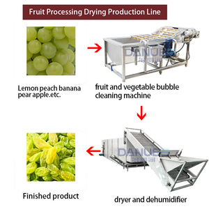 Fully Automatic Mesh Belt Dryer Raisin Stem Processing Production Line Grape Drying <b>Dehumidifier</b> Machinery - Product Image 2