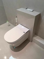 WC intelligent mural professionnel en céramique pour salle de bain, hôtel, projet, appartement, villa, maison