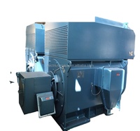 Motor de Inducción Trifásico de Anillo Colectores de Alta Tensión Serie YRKK 6kV 630kW-1600kW 590rpm IP54 para Minería y Metalurgia