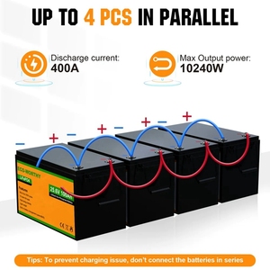 Batterie solaire de stockage à décharge profonde Eco-worthy 24V 25.6V 100Ah, batteries domestiques au lithium fer phosphate - Product Image 4