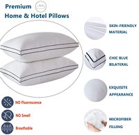 Oreiller doux en peluche de luxe avec couverture en microfibre de coton respirant pour la maison et l'hôtel Oreillers respectueux de la peau pour les détaillants