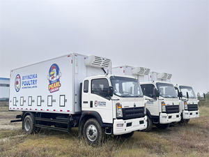 Camion de transport d'aliments pour animaux HOWO 40M3 Diesel neuf à transmission manuelle - Product Image 6