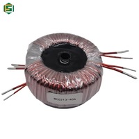 Transformateur torique 30W Entrée 110V 115V 220V 230V Sortie 22V 24V 28V 30V 35V Alimentation électrique Transformateur audio pour amplificateur audio