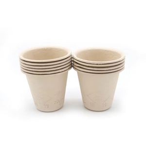 Vasos Desechables Biodegradables de Pulpa de Bambú de Alta Calidad para Almuerzo en la Oficina y Uso Doméstico - Product Image 2