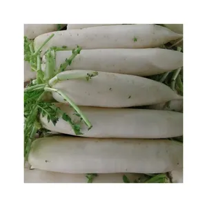 Daikon หัวไชเท้าอบแห้งผ้าไหมสีขาว