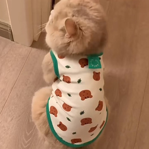 Cute Animal Pattern Dog Vests Breathable Polyester Summer Thin Style For <b>Small</b> Dogs <b>Teddy</b> Panda Schnauzer Pet Clothes - Product Image 3