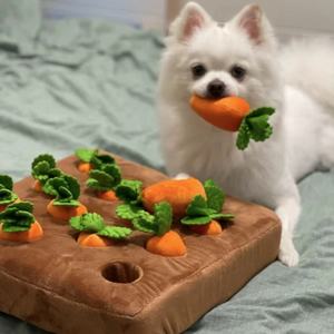 Творческая игрушка-редька, плюшевая сетка, красная домашняя игрушка, дразнить, собака, артефакт, взаимодействие родителей и детей, маленькое блюдо, 3D - Product Image 1