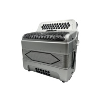 SEASOUND Accordéon Diatonique Professionnel 34 Boutons 12 Basses 3 Registers Argenté Grille Noire Argentée Boutons Noirs OEM JB3412C