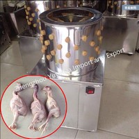 Plumeuse industrielle économique de poulet de caille plumeuse pour la maison utilisée commerciale plumeuse de poulet plumeuse de poulet