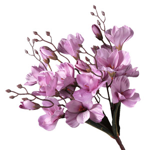 Fleurs artificielles Timo Magnolia, 20 têtes, fleurs en soie, décorations pour mariage et maison - Product Image 5