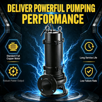 Bomba Sumergible para Aguas Residuales 50WQ10-10-0.75, 0.37kW-550kW, con Agitador, Bomba Industrial de Alta Resistencia para Aguas Residuales, Servicio OEM