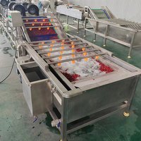 Industriële Verse Groente Fruit Reiniging Droogverwerking Machines Droogdata Wasmachine Te Koop