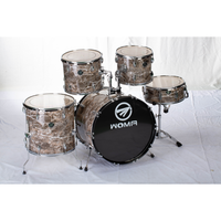 Factory Wholesale/OEM 5-Piece3 Cymbals Compact Professional Jazz Kids Drum Set Musical Instruments & Percussion Instruments