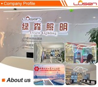 Perfil de Extrusión de Aleación de Aluminio 6063-T5 para Tiras de Luces LED, Decoraciones, Servicio de Corte LS-096