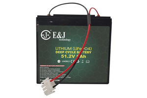 Pack de batteries LiFePO4 48V 6Ah |   Batterie au lithium compacte avec prise à 2 broches - Product Image 2