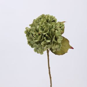 BF-HG16 Fiore <span class=keywords><strong>di</strong></span> Ortensia Artificiale in Lattice Verde Salvia <span class=keywords><strong>di</strong></span> Alta Qualità, Effetto Realistico, per Decorazioni Matrimoniali e Domestiche - Product Image 2