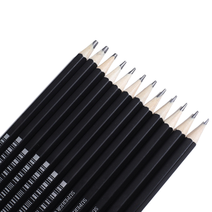 2H-8B Kit <span class=keywords><strong>de</strong></span> <span class=keywords><strong>dessin</strong></span> <span class=keywords><strong>de</strong></span> 12 pièces ensemble <span class=keywords><strong>de</strong></span> crayons à croquis boîte en fer blanc portable crayons en graphite pour artistes débutants adultes adolescents fournitures d'art - Product Image 2