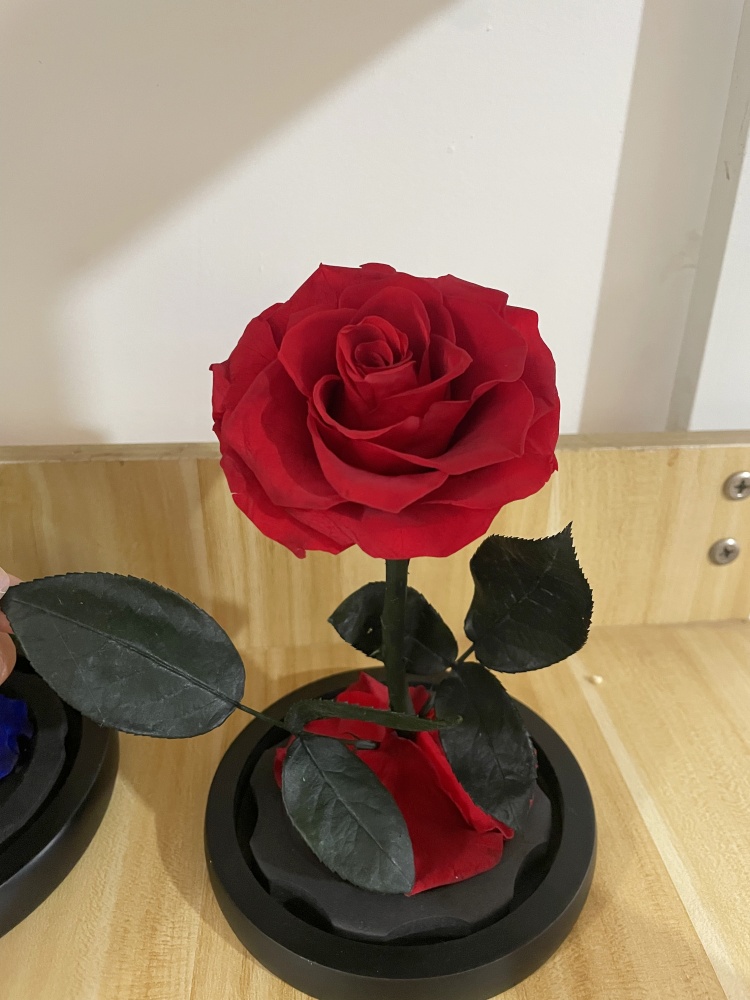 Rouge 10*15cm