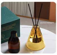 Diffuseur de parfum en verre borosilicate à double paroi de luxe personnalisé |   Vase aromatique triangulaire inversé de 88 ml