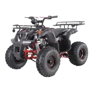 Tao Motor Best Selling 2021 Chinese 110cc ATV Parts Kits 110cc ATV for Sale