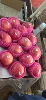Leveren Rode Fuji Appel Verse Fuji Appels Uit China Rode Heerlijke Appels Export Met Lage Prijs Uit China
