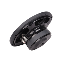 Subwoofer SPL Modèle Exclusif 10 Pouces Double Bobine pour Voiture, Puissance RMS 200W, Puissance de Pointe 400W, Audio Automobile Prix Usine