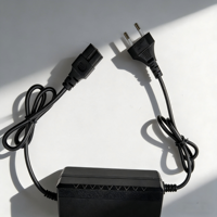 Chargeur rapide LiFePO4 48V 3A WFY tendance pour voiture électrique et vélo électrique, allocation de puissance intelligente entièrement automatique, coque ABS ignifuge