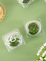 Petite boîte d'emballage en PP verte pour raviolis, pâtisserie au jaune d'œuf salé, gâteau de neige, gâteau de lune, cadeau, couvercle transparent scellé, base