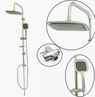Colonne de douche droite en acier inoxydable, nouveau Design, argent-blanc, pommeau de douche