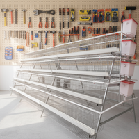 Cage à poulets automatique robuste de type A pour élevage en batterie, enclos en dôme pour volailles de basse-cour, poulailler en fil métallique