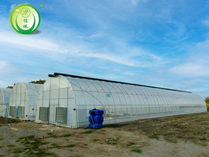 Serre agricole en plastique galvanisé <span class=keywords><strong>à</strong></span> structure résistante pour tomates, poivrons et concombres - Product Image 3