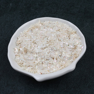 Phụ Kiện Nghệ Thuật Làm Móng Nhuộm Màu Mẹ Của Ngọc Trai Thủ Công Nghiền Nát Bào Ngư Vỏ Mảnh Vỏ Cho Lát Trang Trí Móng Tay - Product Image 3