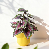 Feuilles de bégonia artificielles de haute qualité, aspect réaliste, toucher naturel, plastique, faux feuillage pour balcon intérieur/extérieur, jardin domestique