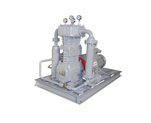 คอมเพรสเซอร์ไฮโดรเจนขนาดเล็กแบบไร้น้ำมัน รุ่น CT4 แบบลูกสูบ ปรับความถี่ได้ ระบายความร้อนด้วยสายพาน - Product Image 6