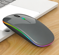 Souris sans fil personnalisée, rechargeable, mince, ergonomique, TYPE-C, verticale, RGB, 4 boutons, souris sans fil pour le bureau