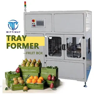 Fruit Box Former Factory Wholesale Tray Forming Machine